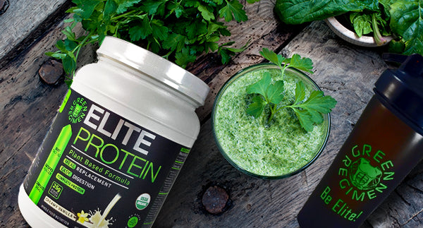 Antioxidant Smoothie – Green Regimen